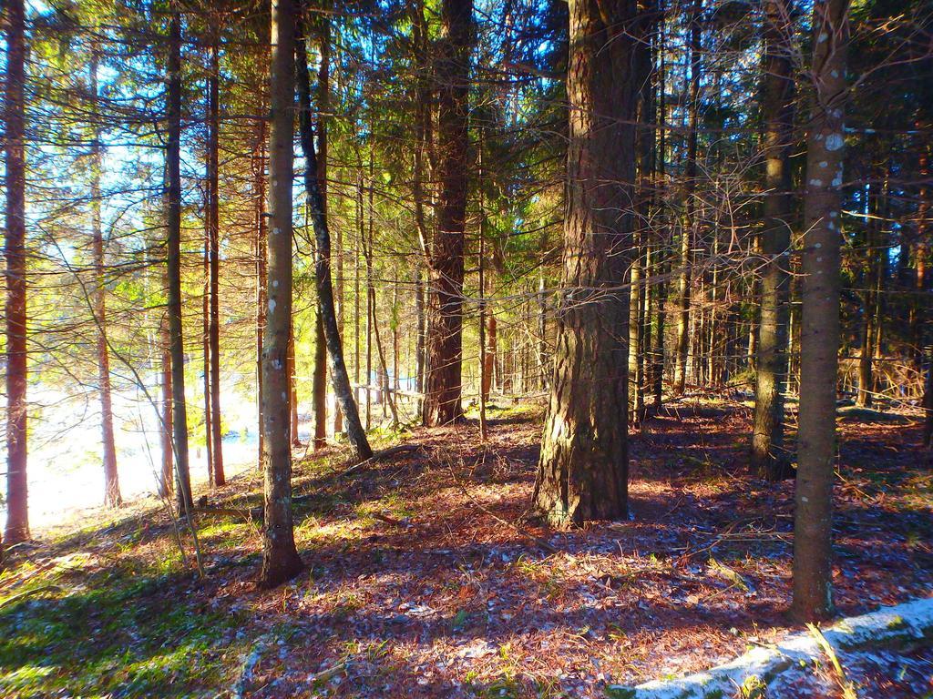 Karumetsa Apartment Otepaa Luaran gambar